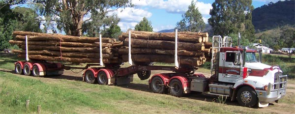 Double Logging Truck