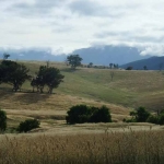 On the way from Omeo to Ensay